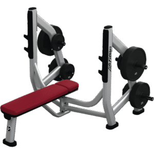 LIFE FITNESS SIGNATURE SERIES OLYMPIC BENCH WEIGHT STORAGE (ADDED STORAGE ONLY)